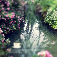 /photo/704417/行走人生/psb (6)_1_5_small.jpg